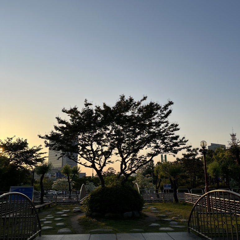 오늘 하루는 여기 저기 생각 없이 걸어 다니면서 사람 구경도 하고 자연구경을 했다.