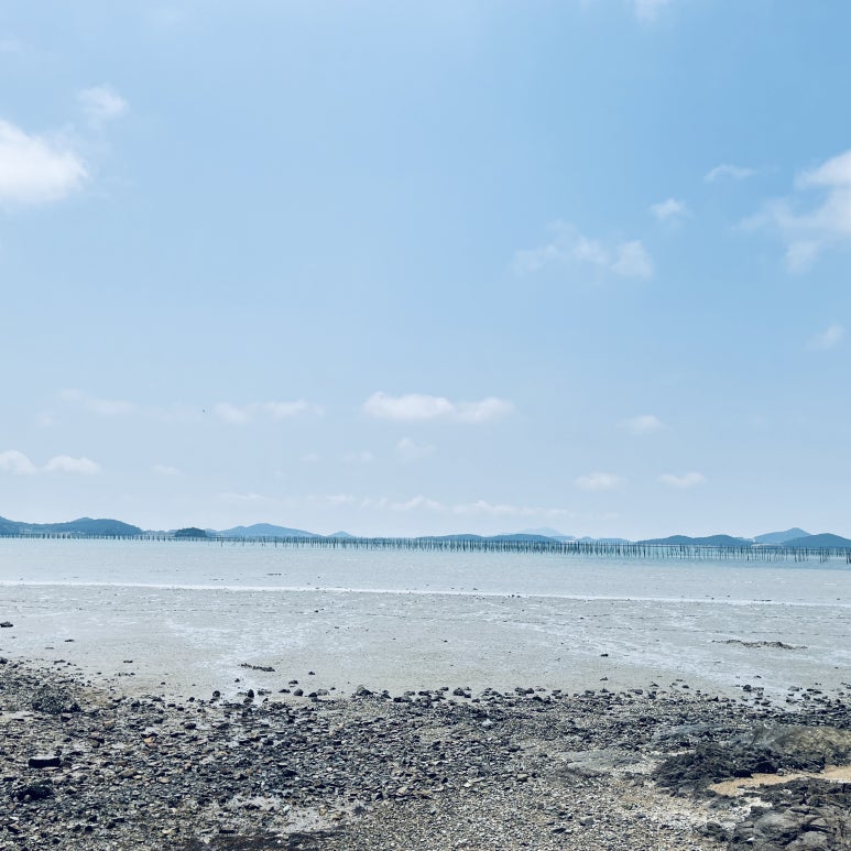 그냥 바라만 보고 있어도 좋았다.