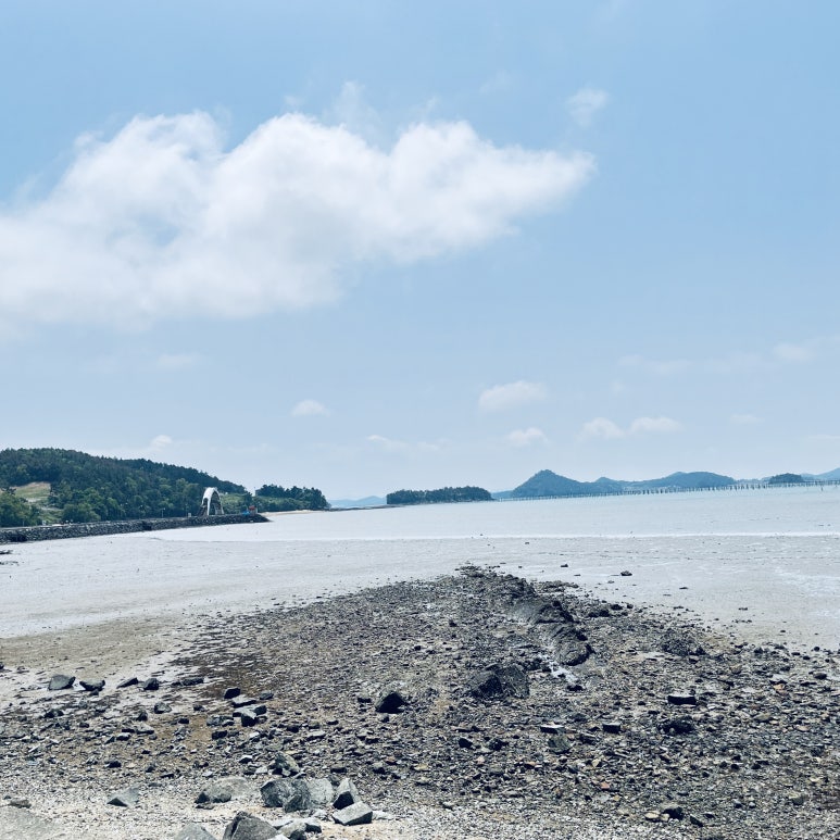 그냥 바라만 보고 있어도 좋았다.