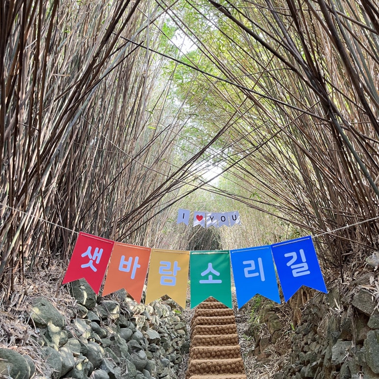 거제도에 온 이유는 구조라 샛바람소리길에 오기 위해서였다.
