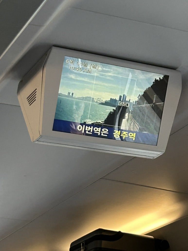 중간에 경주도 들러주고..