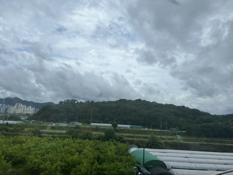 이렇게도 찍어 봤는데 여러분 별 감흥 없잖아요