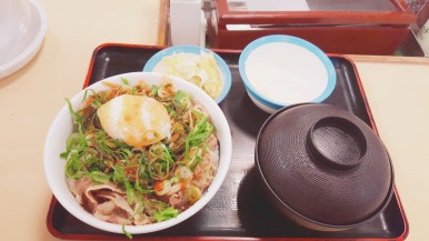 일본은 맛있는게 참 많은 것 같다