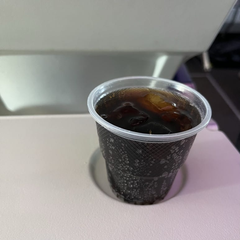 항상 그랬듯이 승무원분께서 어떤 음료 드릴까요 하면 diet coke or zero coke with ice라고 한다.