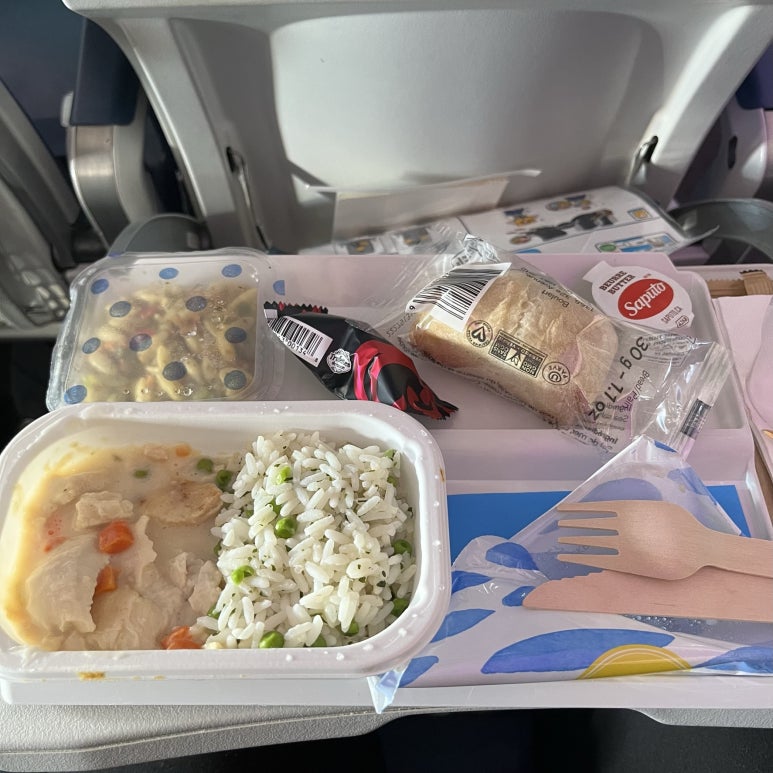 음&hellip;. 기내식이 나왔는데 비주얼이 엄청 처참하다.