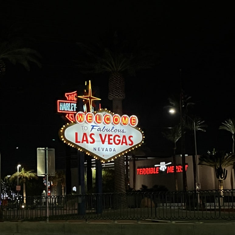 숙소에 들어가기 전에 LAS VEGAS 사인이 있는 곳에 왔다.