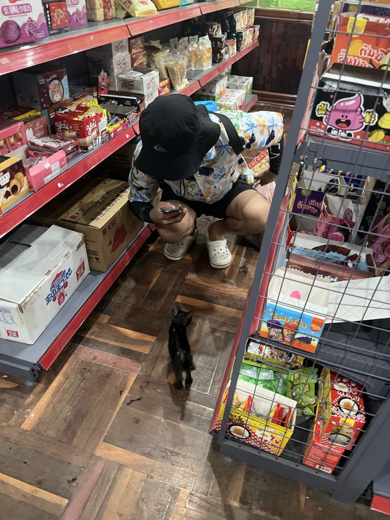 열심히 고양이를 찍고 있을 때 친구가 몰래 찍어줬다.