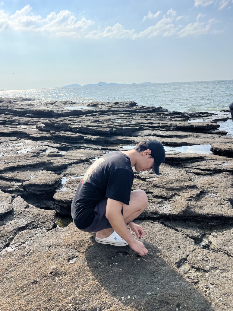 소라도 주어다가 라면에 넣어 먹을까 하다가 너무 작아서 봐줬어요