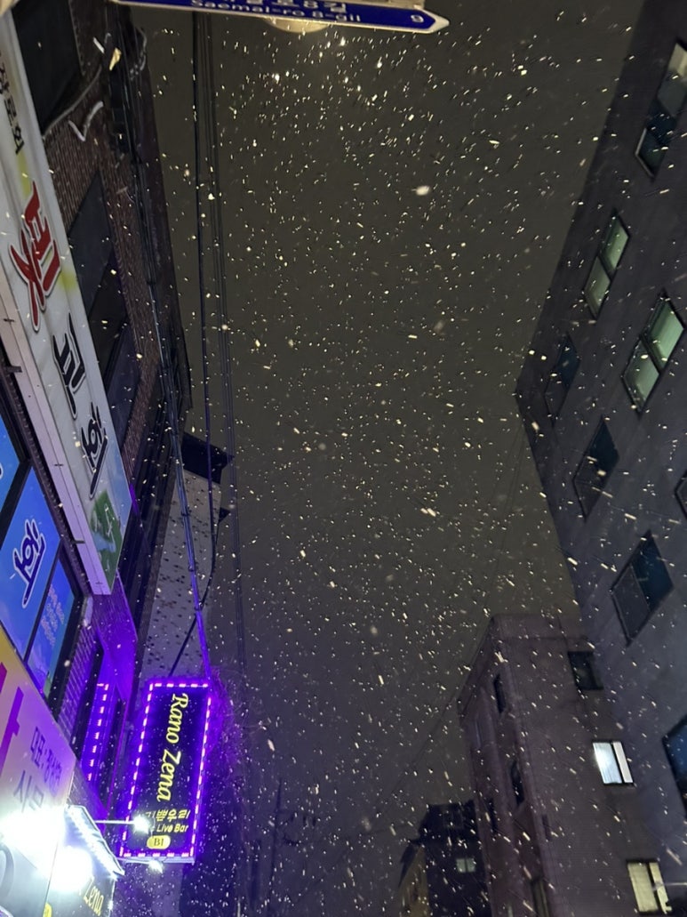 주짓수 끝나고 집에 가는 길에 눈 오는 것도 봤었고요