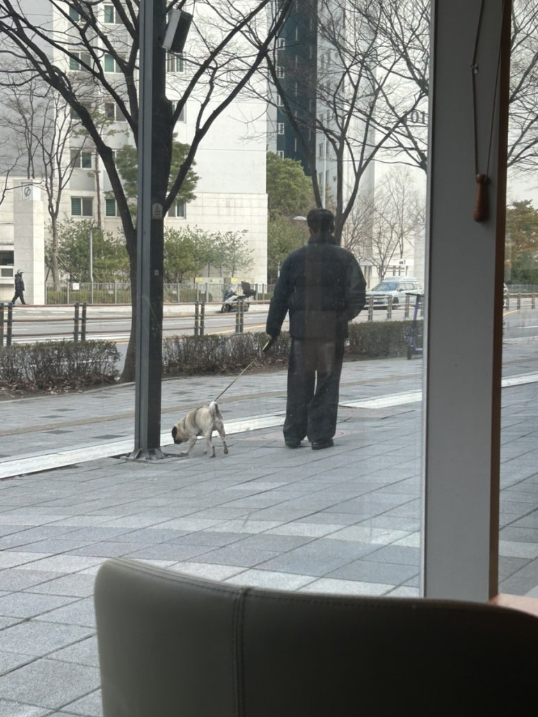 지금은 군대로 떠난 체육관 동생도 관측했어요