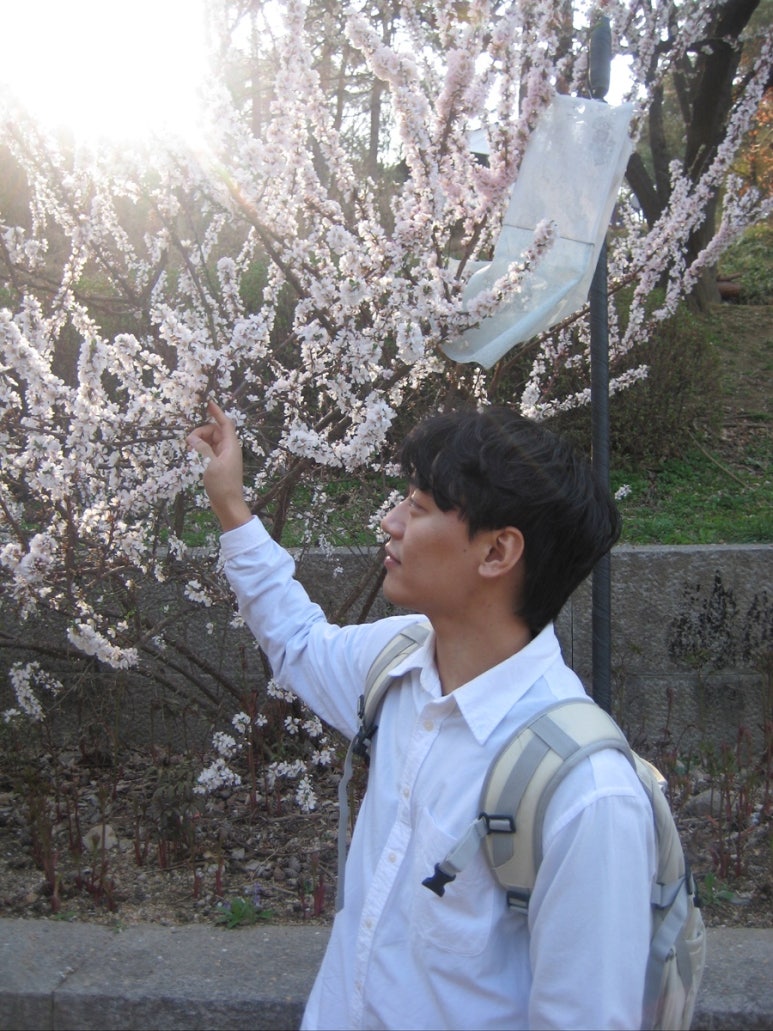 벚꽃이 참 예쁘더라고요