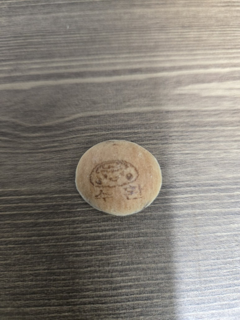 뜬금없이 큰 누나가 사진을 보냈어요