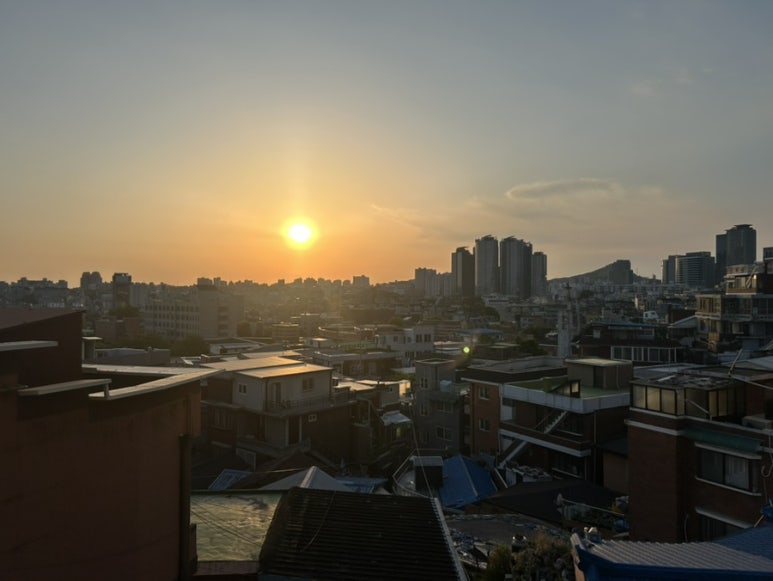 반나절 박새로이가 된 기분이였어요
