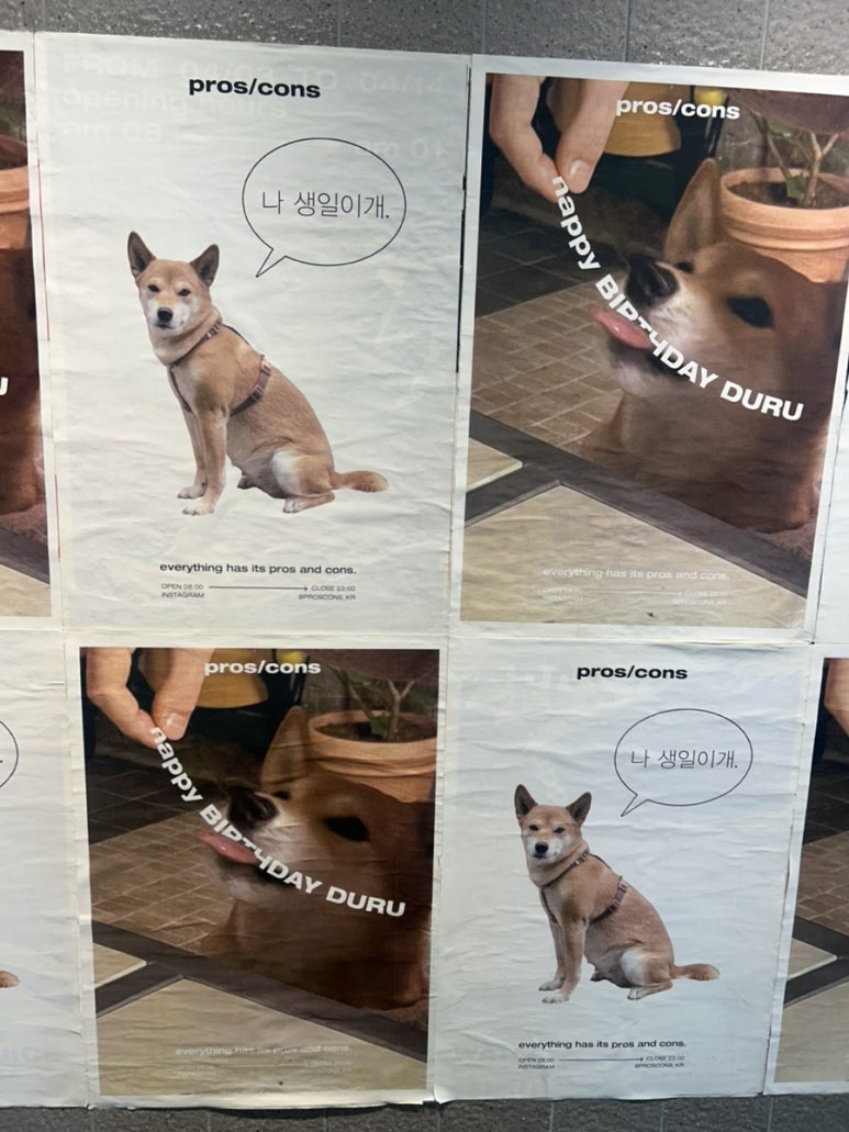 마지막으로 카페 갔다 본 귀여운 강아지 사진