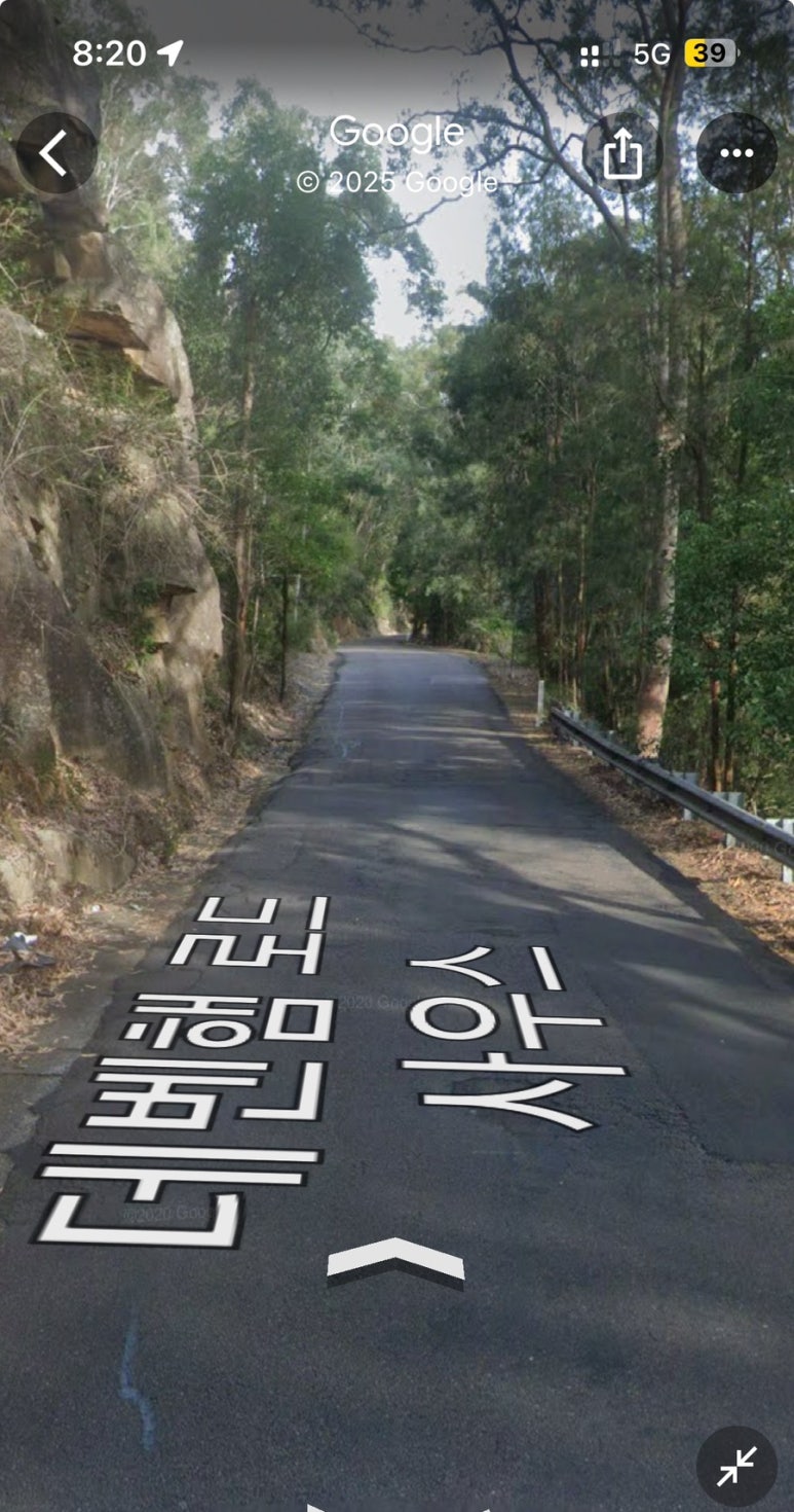 이런 산길을 가야 해요