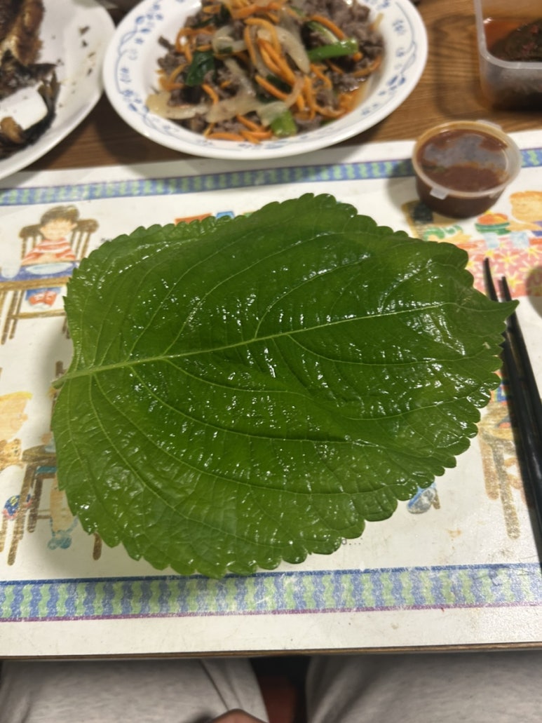방에서 뒹굴뒹굴하고 있는데 집주인 할머니가 저녁 같이 먹자 해서 나갔는데