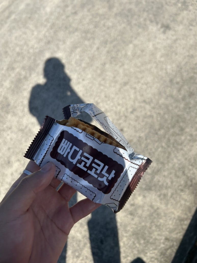 일하다 중간에 간식으로 빠다코코낫